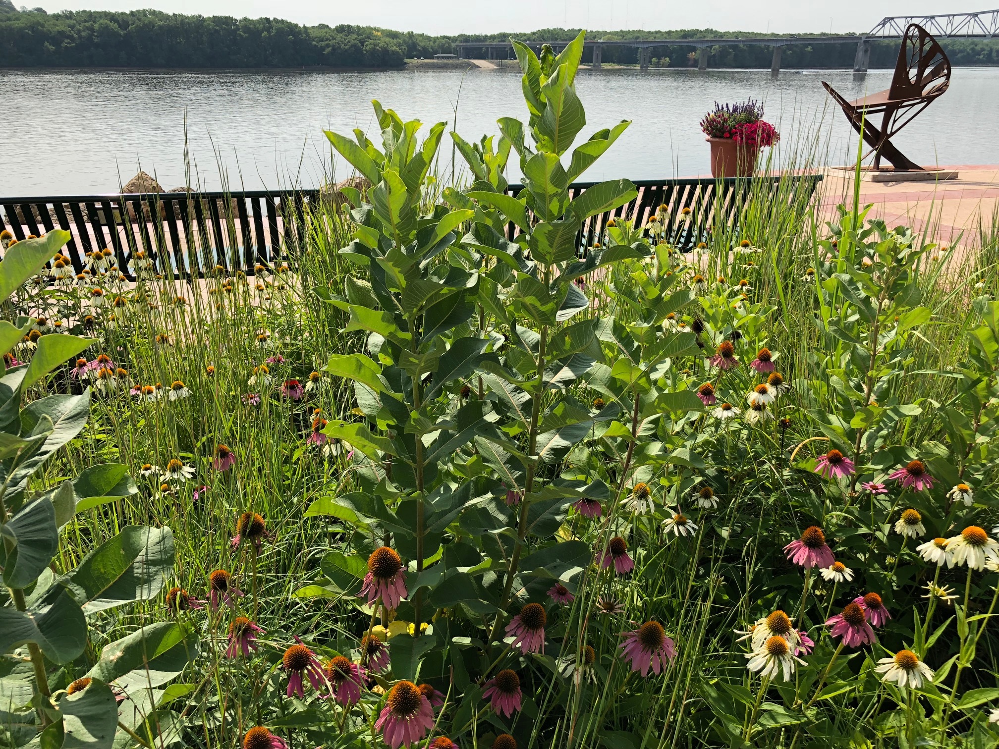 Landmark Watershed Agreement Reached in Iowa | Sand County Foundation 