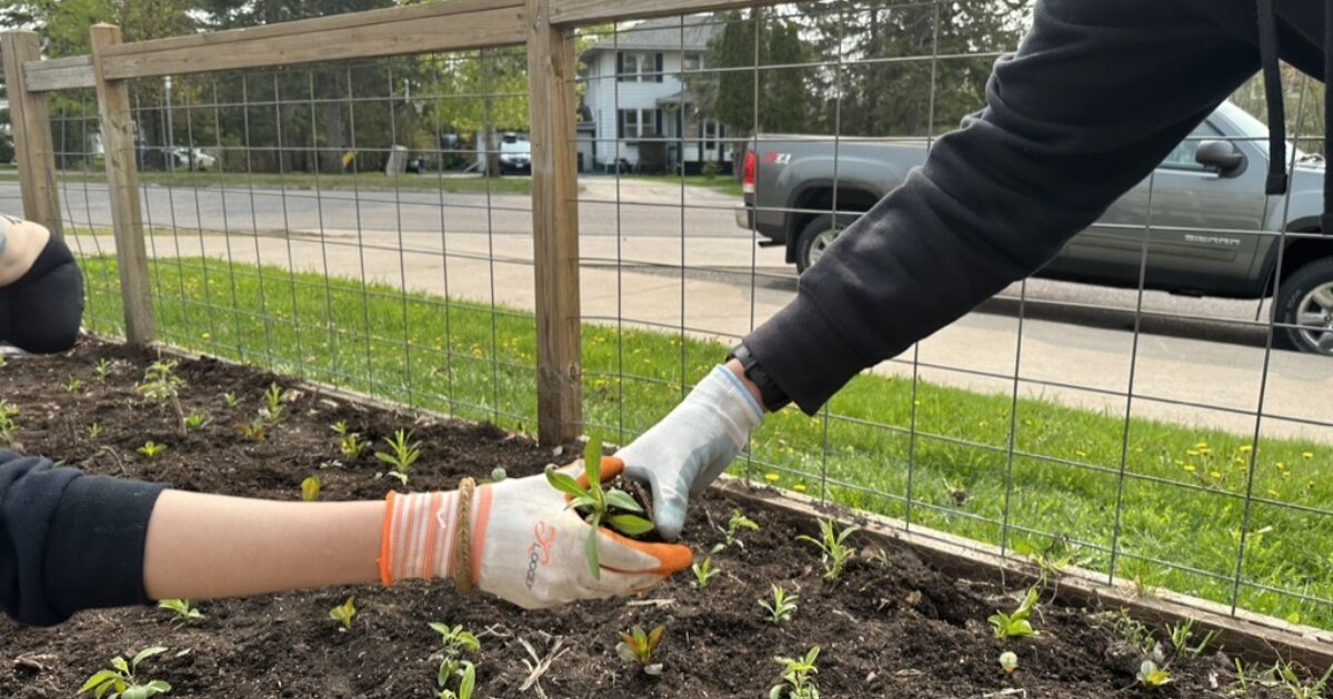 Pollinator Grants Offered To High Schools Sand County Foundation 3970