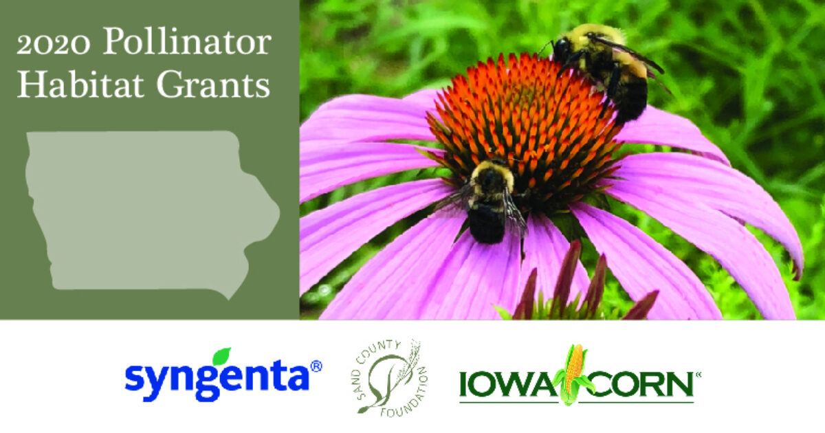 Iowa Schools Receive Pollinator Grants Sand County Foundation