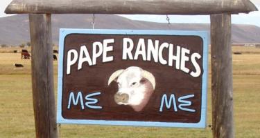 Pape Ranches